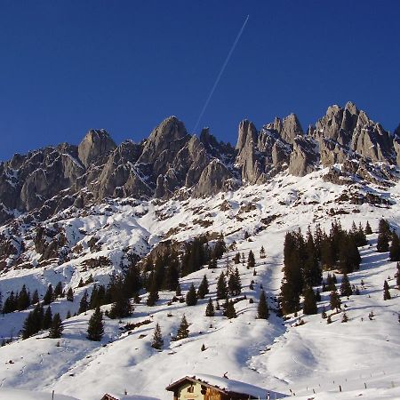 Appartementhaus Hochkoenig 1- Birgkar Mühlbach am Hochkönig المظهر الخارجي الصورة