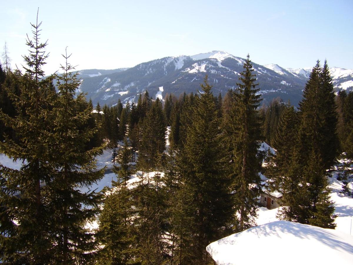 Appartementhaus Hochkoenig 1- Birgkar Mühlbach am Hochkönig المظهر الخارجي الصورة