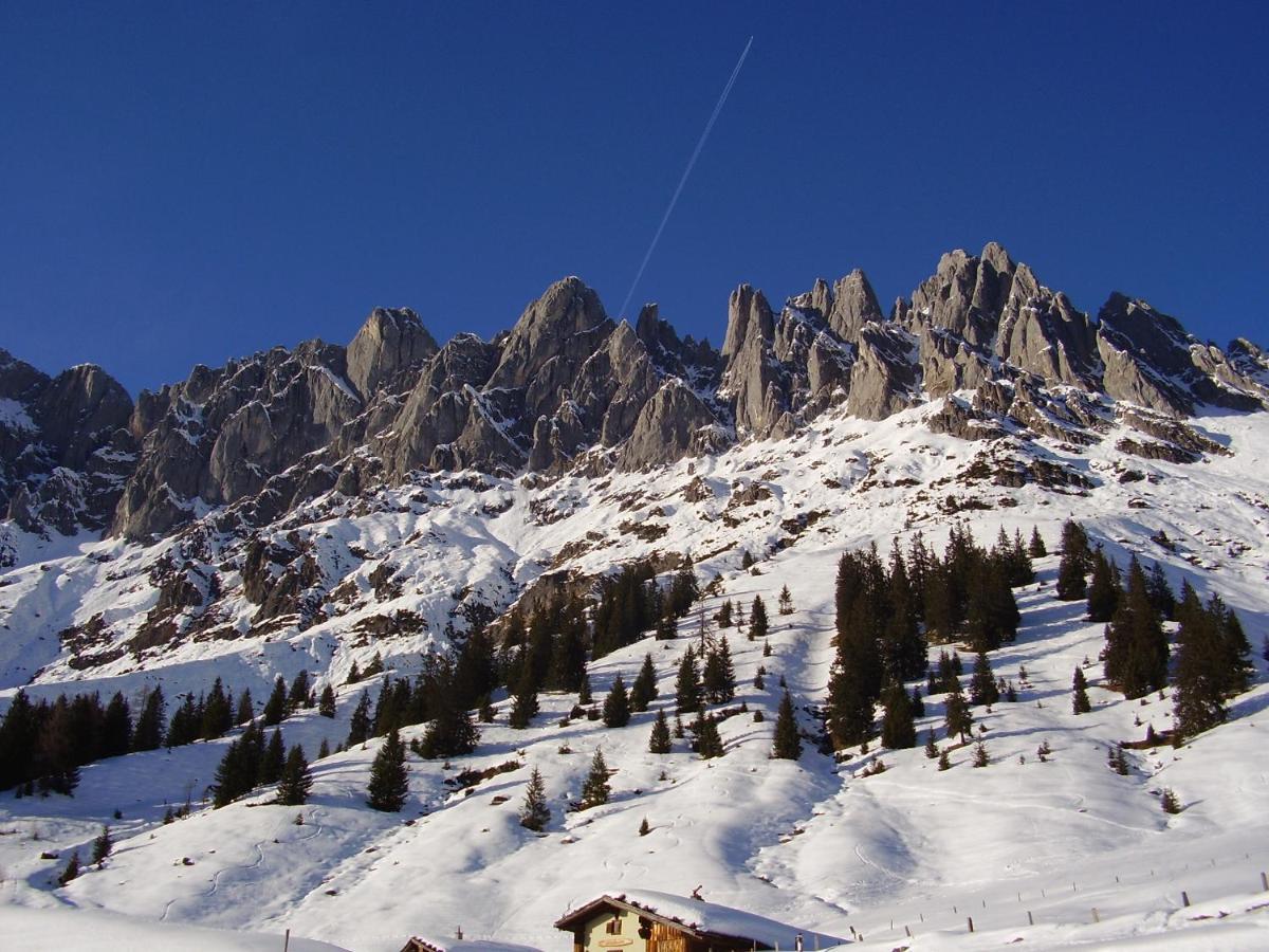 Appartementhaus Hochkoenig 1- Birgkar Mühlbach am Hochkönig المظهر الخارجي الصورة